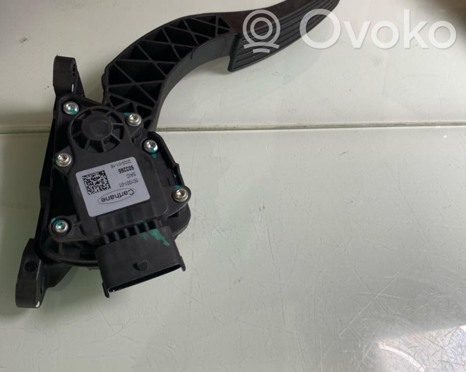 Pedale dell’acceleratore   10255273,503266,10255273