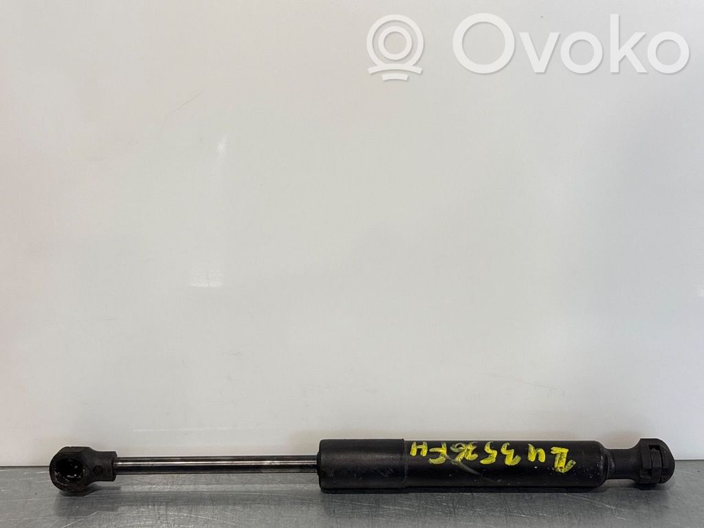 Renault Zoe Amortizor capotă motor 
