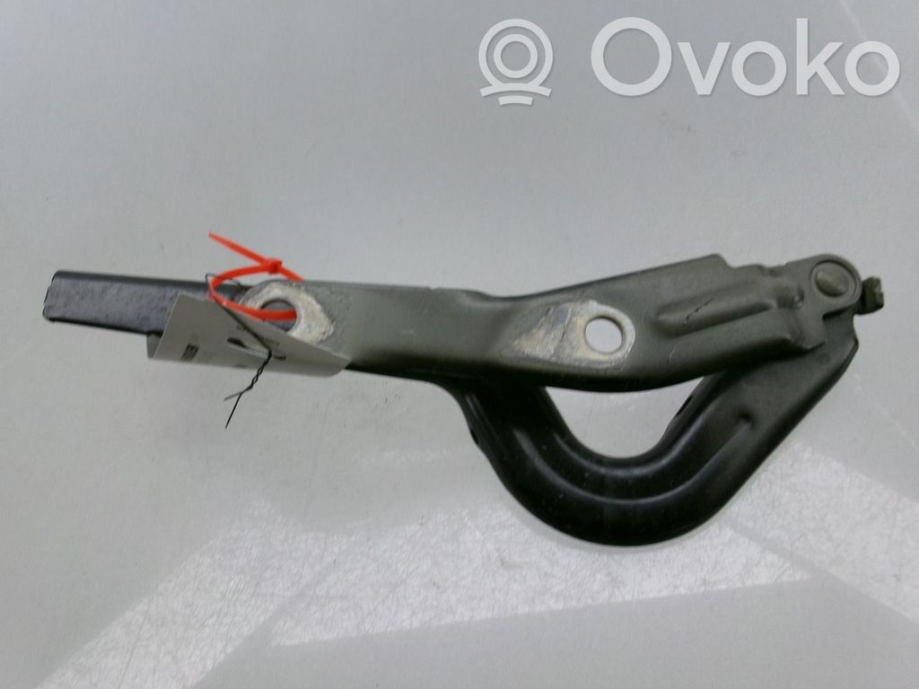 Volkswagen ID.4 Charnière, capot moteur 