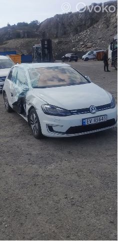Volkswagen e-Golf Baterie vehicul hibrid/electric