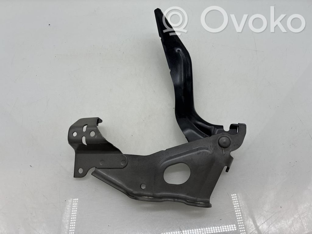 Lexus UX Engine bonnet/hood hinges 