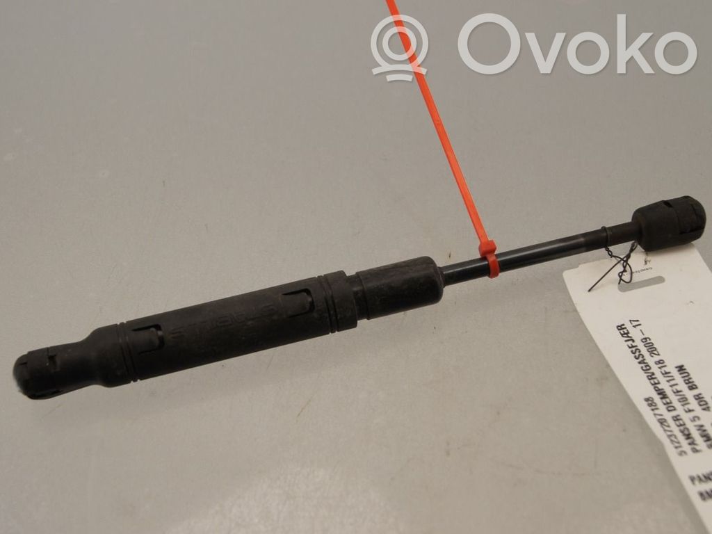 BMW 5 F10 F11 Ammortizzatore portellone anteriore/cofano