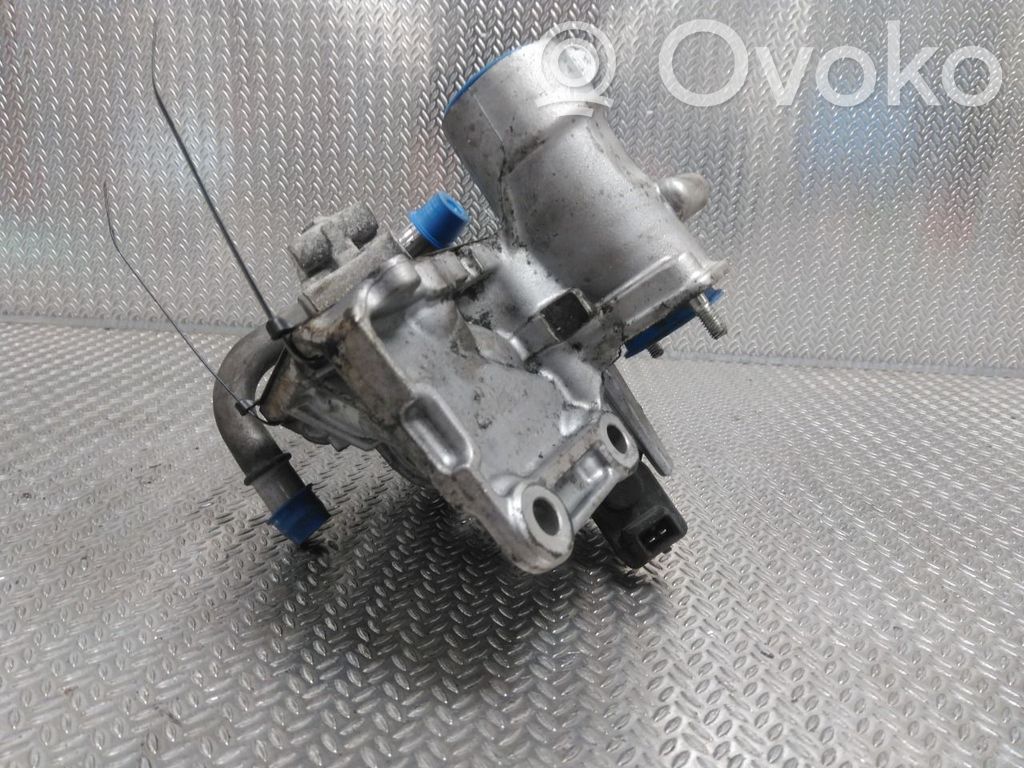 Nissan Juke I F15 Válvula EGR