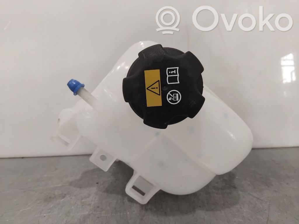 BMW i3 Vaso di espansione carburante