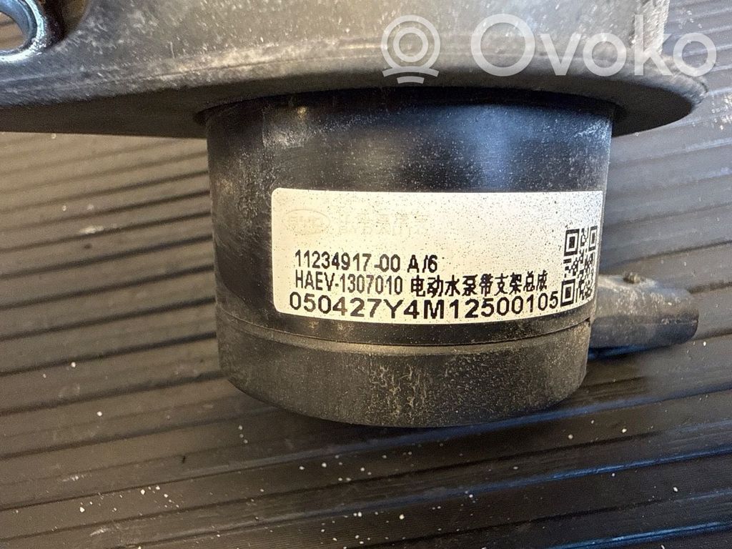 BYD T3 Vesipumppu 