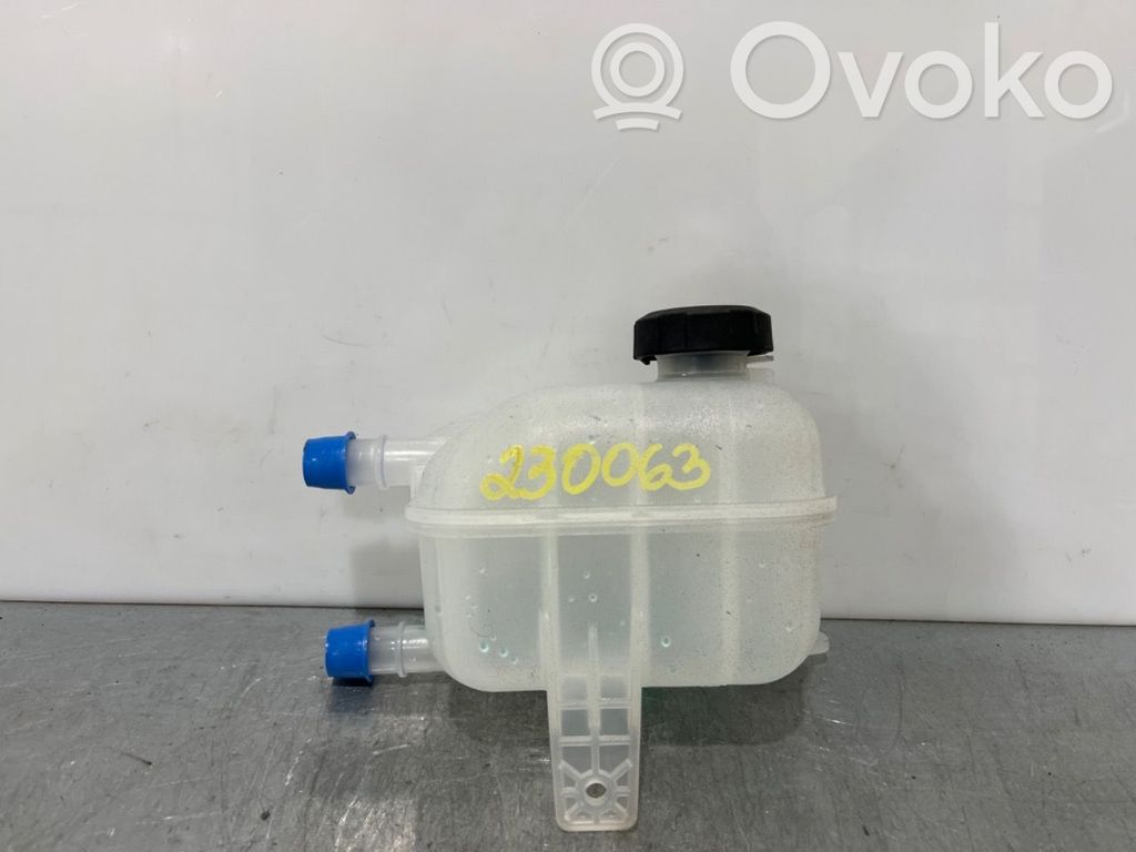 Hyundai Ioniq 5 Vase d'expansion de carburant