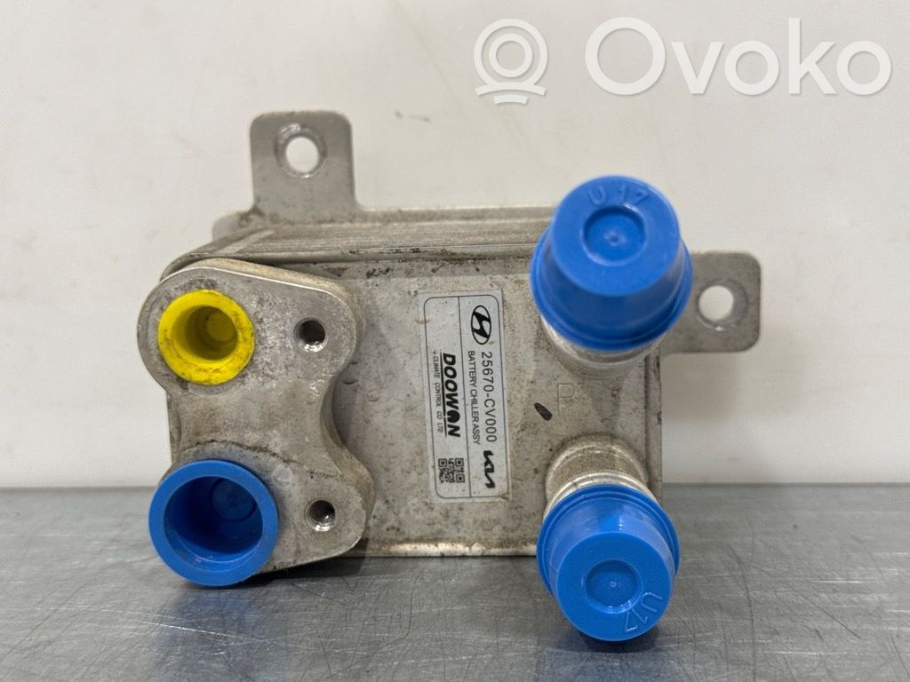 KIA EV6 Alte piese aer condiționat (A/C) 
