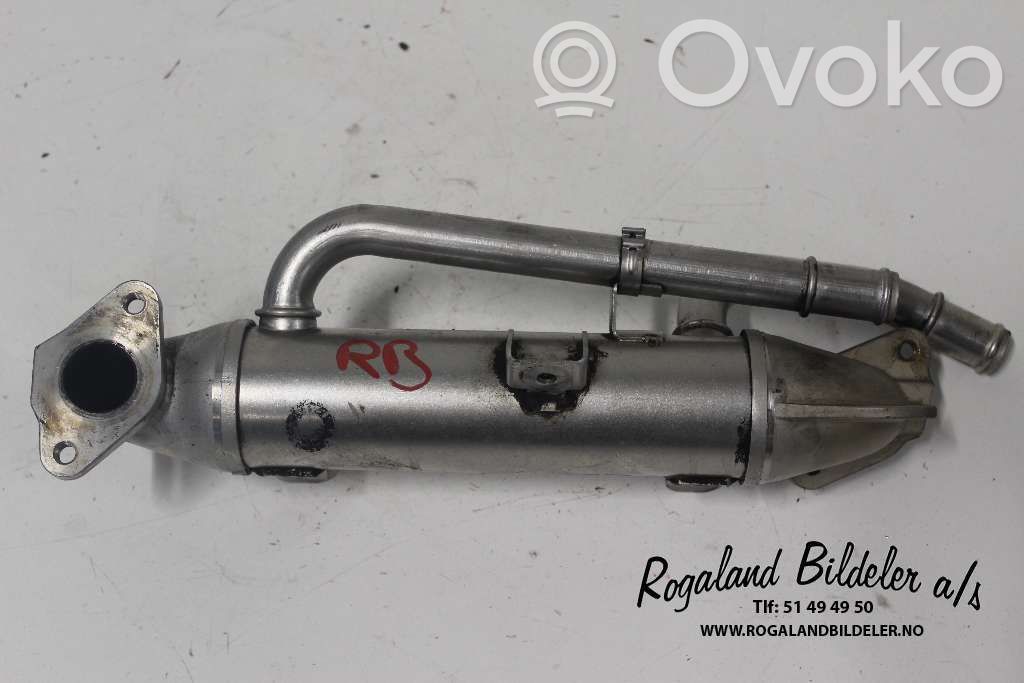 Audi A4 S4 B7 8E 8H Refrigerador de la válvula EGR