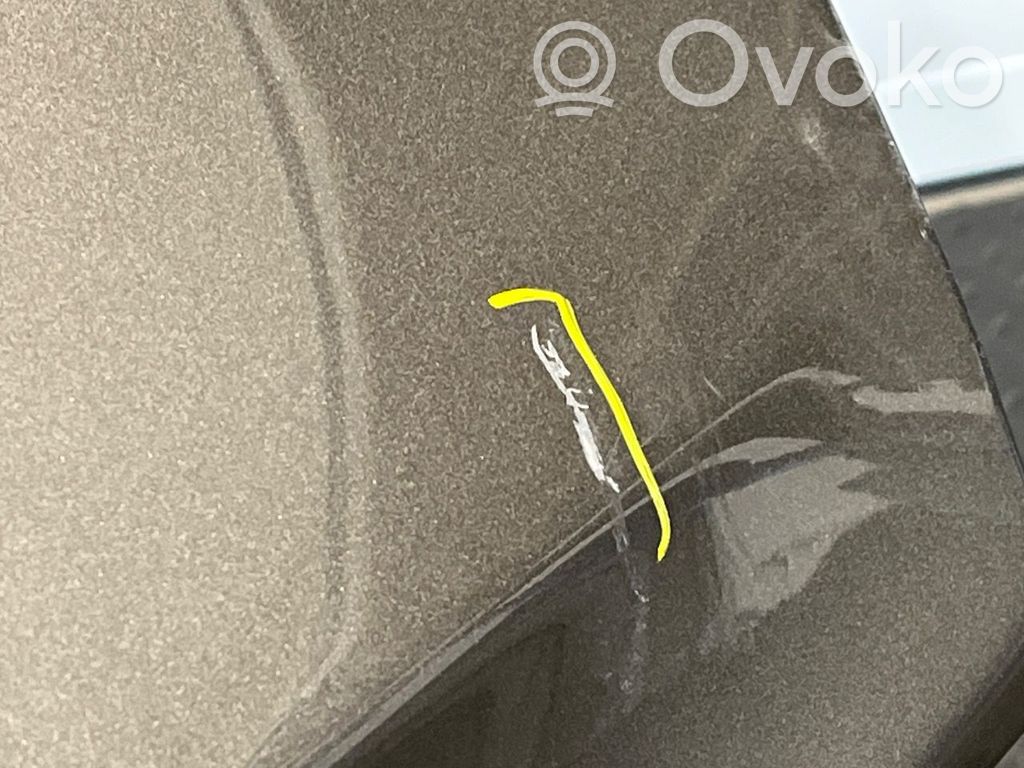 Tesla Model S Hayon/capotă portbagaj 