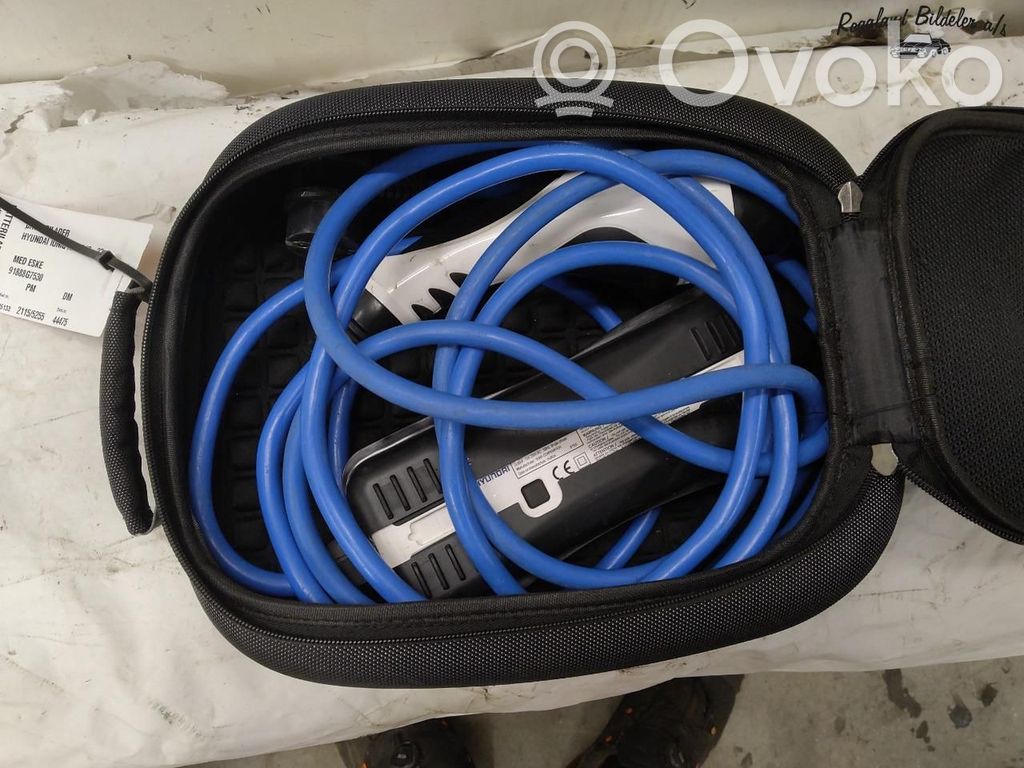 Hyundai Ioniq Cavo di ricarica per auto elettriche