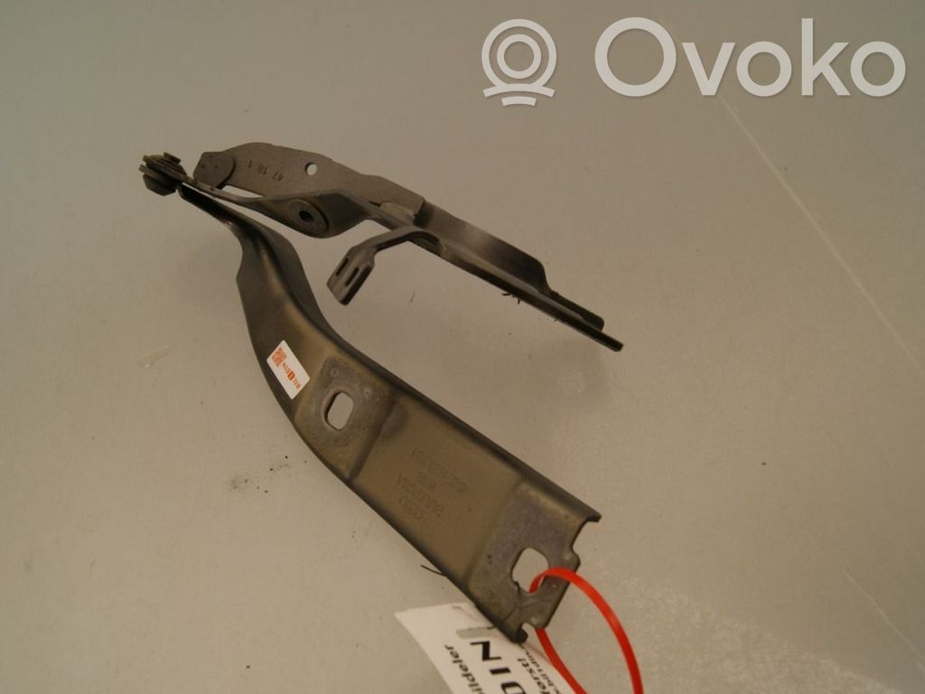 Audi e-tron Cerniere del vano motore/cofano