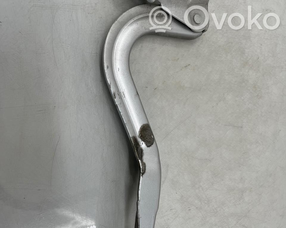 Vyris (-iai) variklio dangčio