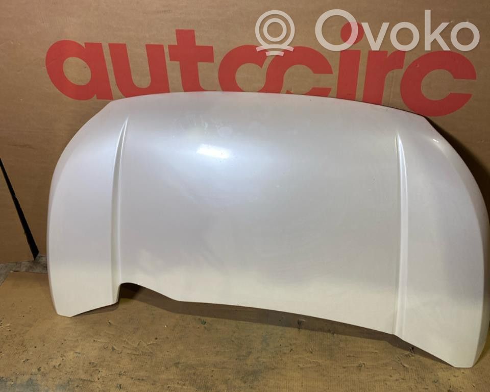 Motorhaube