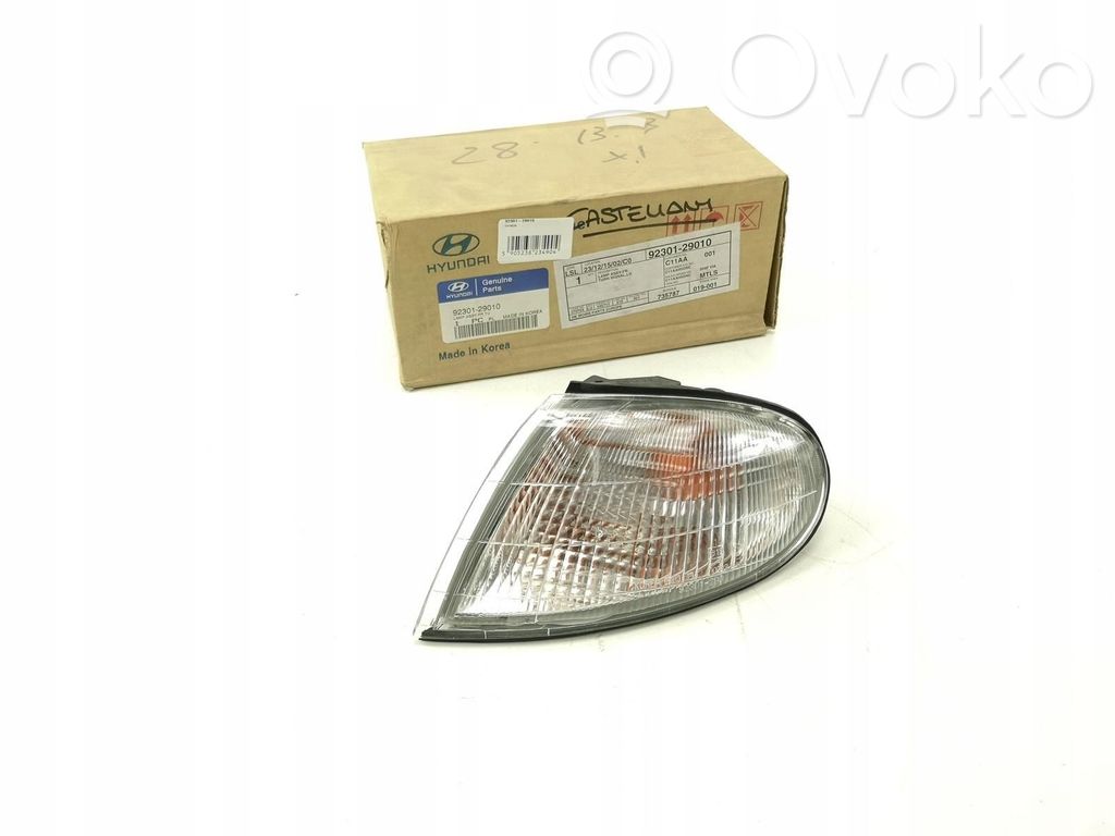 Hyundai Elantra VI Front indicator light 