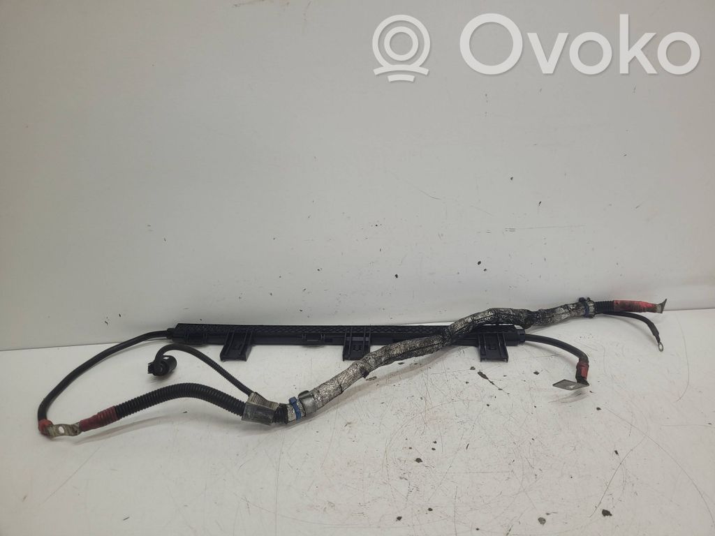 Wires (starter motor)   61030666