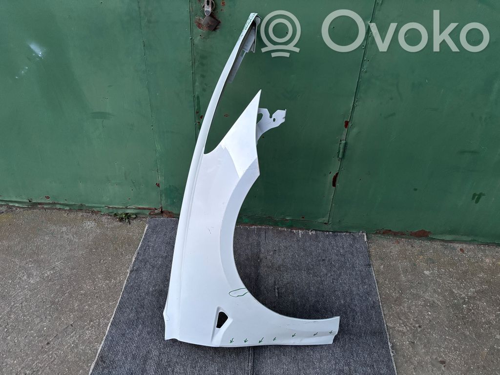 Tesla Model 3 Kotflügel 