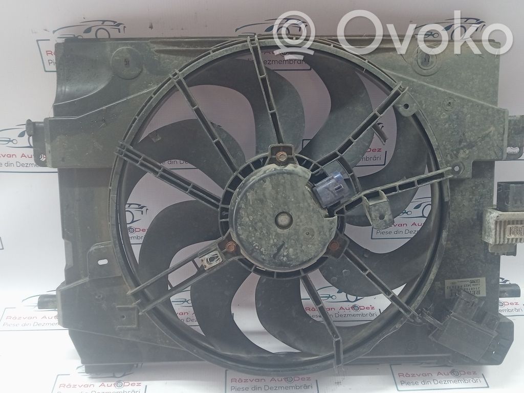Elektrolüfter   214816812R,19743,214816812R