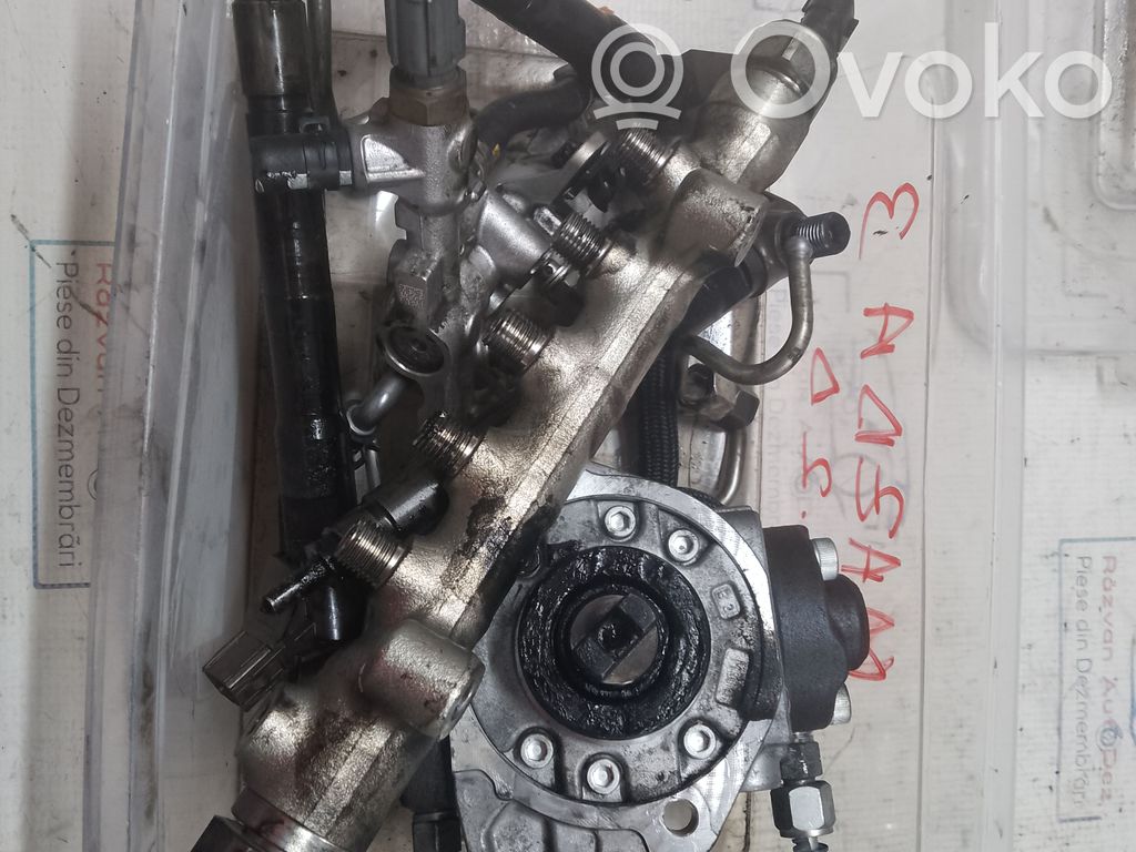 Fuel injection system set   SH0113800D,28843,A502005R20717,SH0113800D,SH0113H50