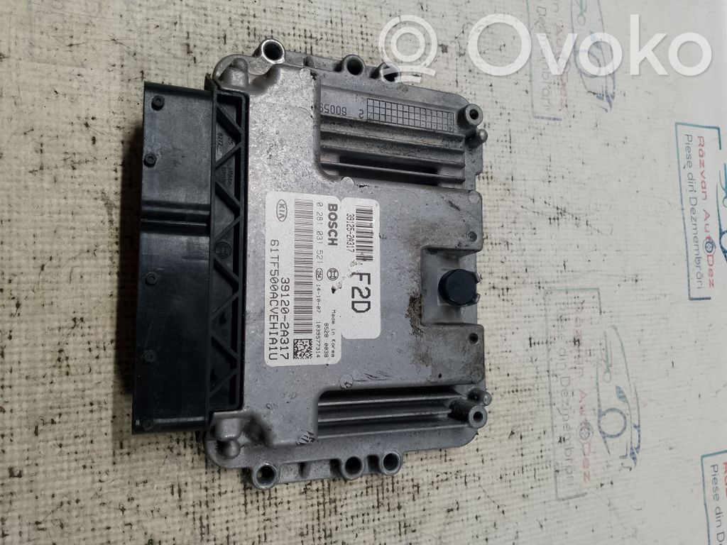 KIA Optima Engine control unit/module 