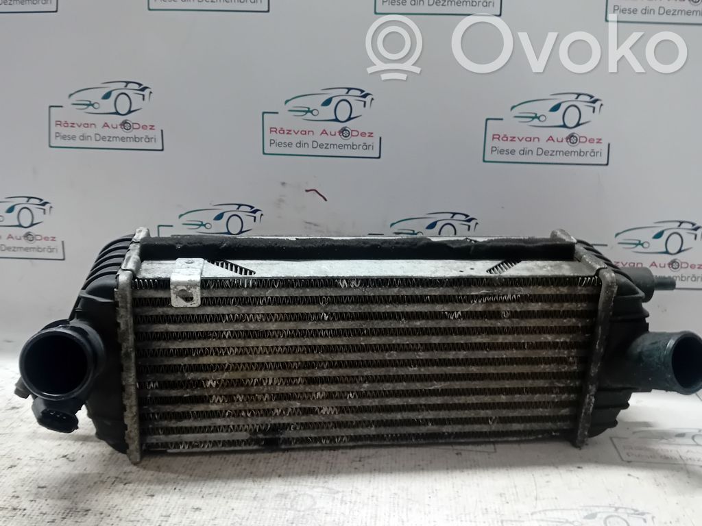Interkūlerio radiatorius   282702A850,282702A850