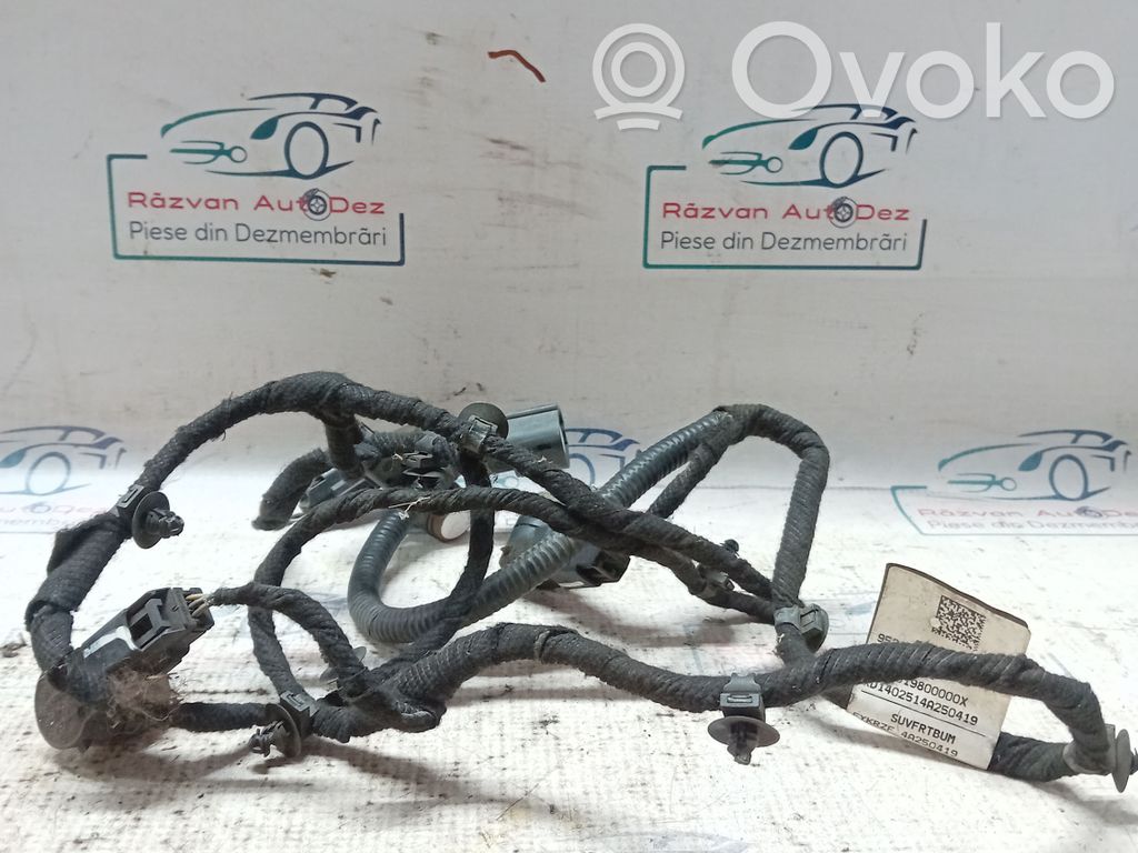 Parksensor PDC   95245966,0263013646,4SENZORI,95245966