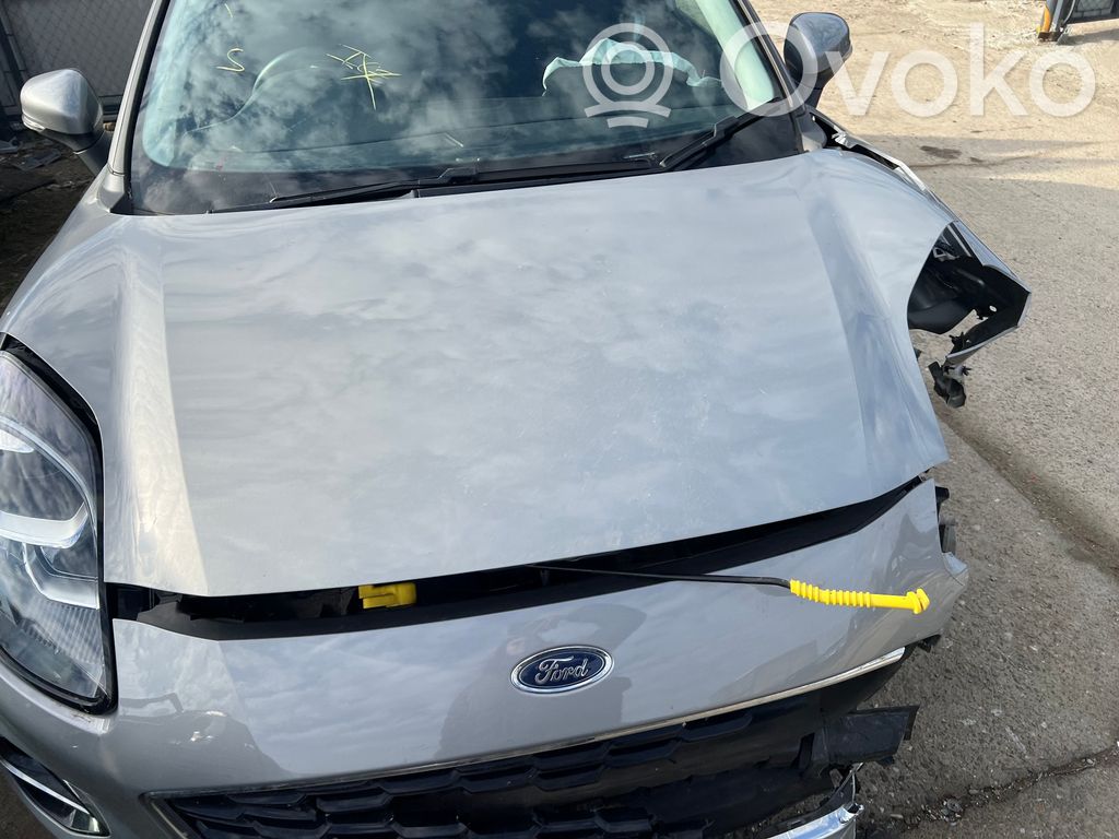 Engine bonnet/hood
