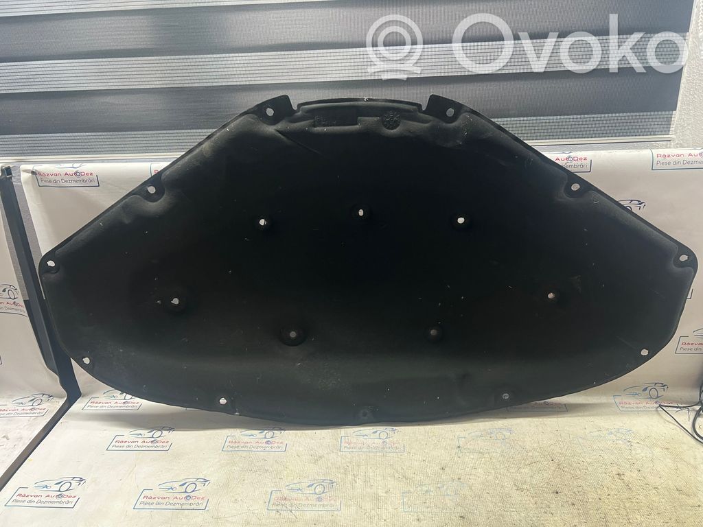 Engine hood trim   50101
