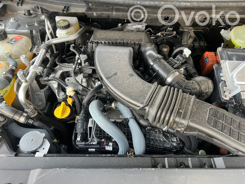 Motor