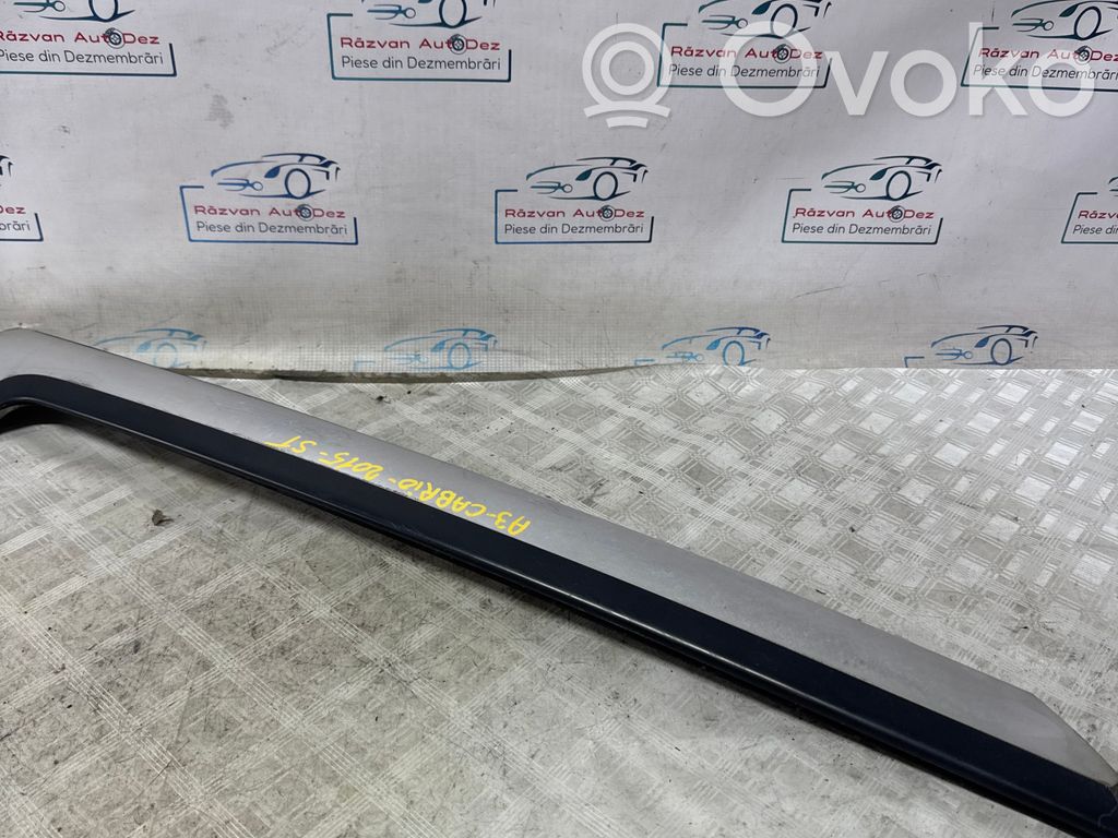 Audi A3 S3 8V Windshield trim 