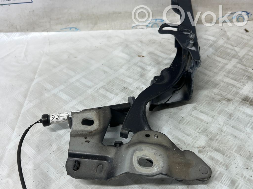 Scharnier Motorhaube   7300521,7300521