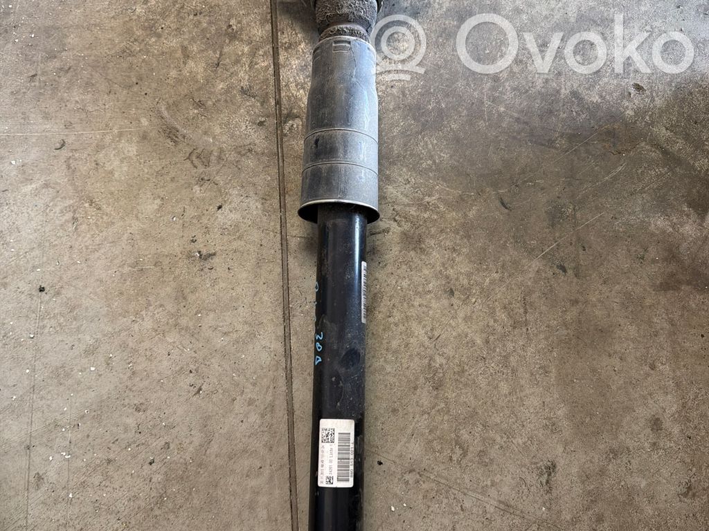 Audi A4 S4 B9 Stoßdämpfer hinten