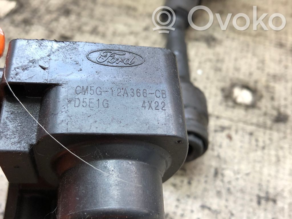 Ford Ecosport Cavi accensione candele