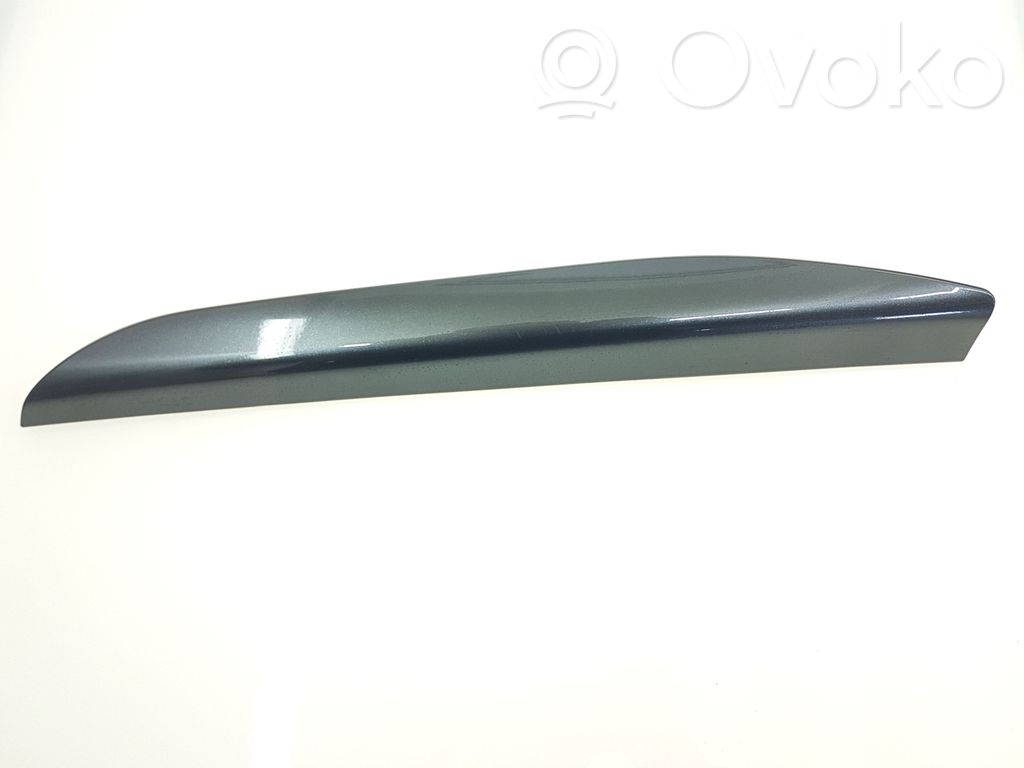 Ford Edge II Panel trim 