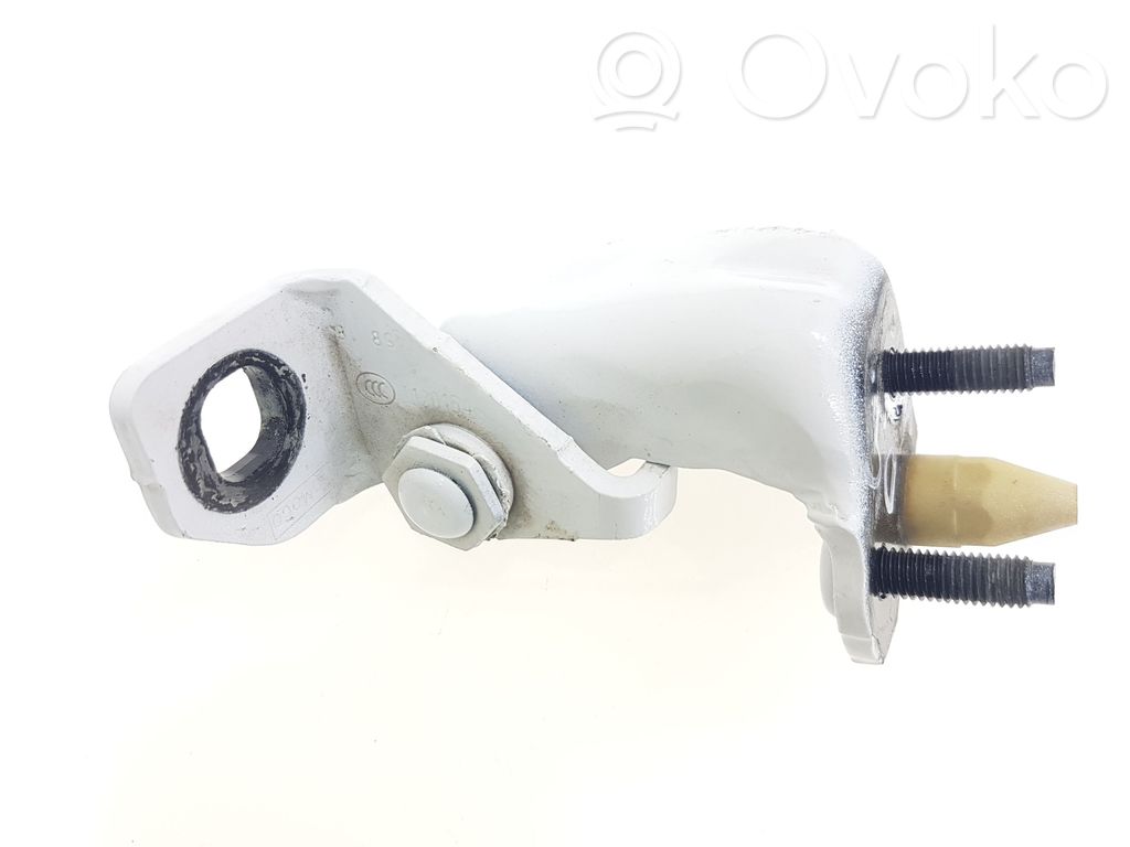 Ford F150 Rear door upper hinge 