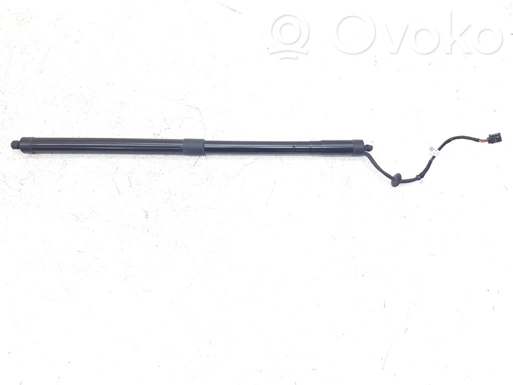 Ford C-MAX II Tailgate/trunk strut/damper 