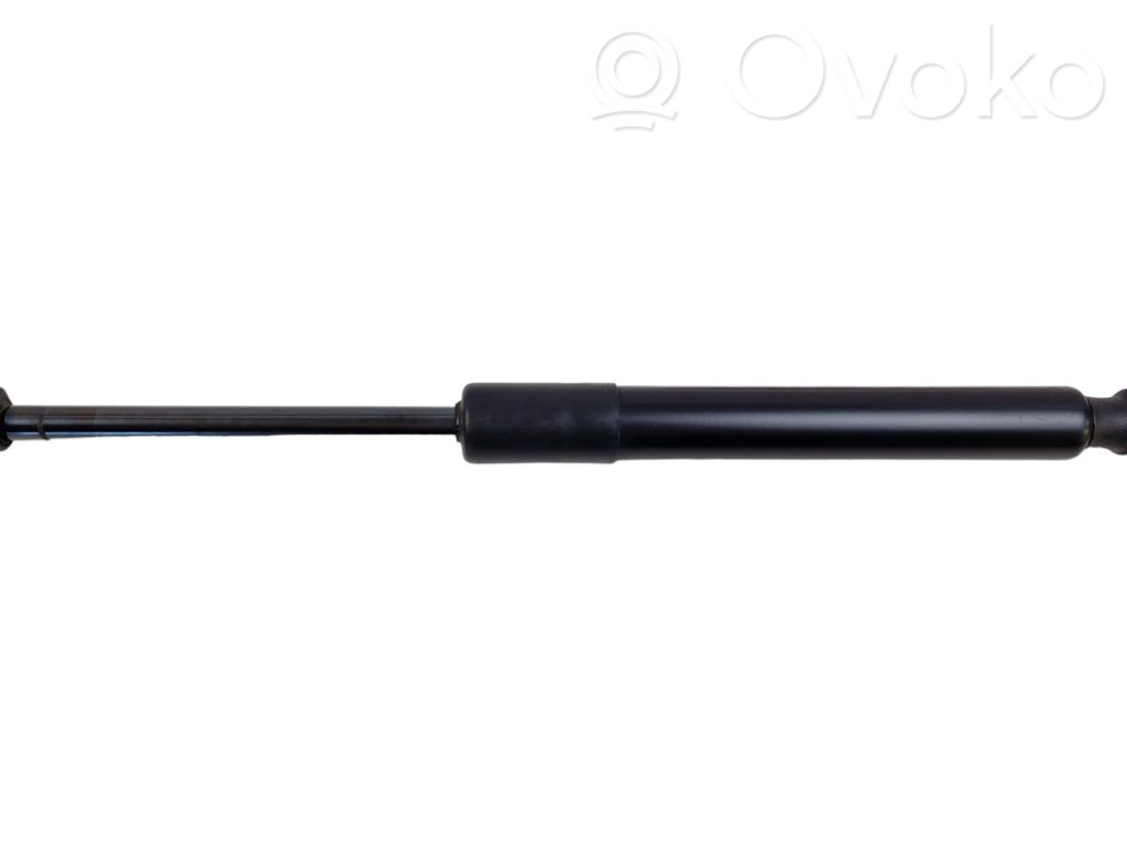Tesla Model 3 Tailgate/trunk strut/damper 