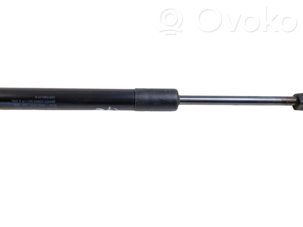 Tesla Model 3 Tailgate/trunk strut/damper 