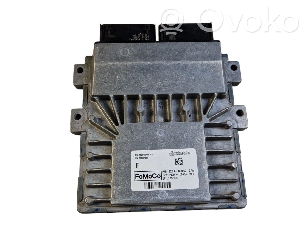 Ford Edge II Engine control unit/module 