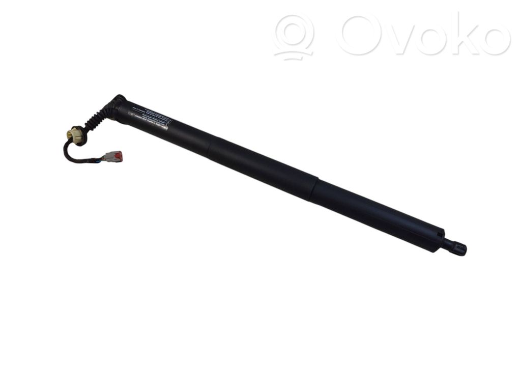Ford Edge II Tailgate/trunk strut/damper 