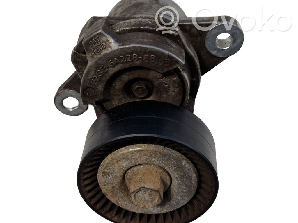 Ford Edge II Napinacz paska alternatora 
