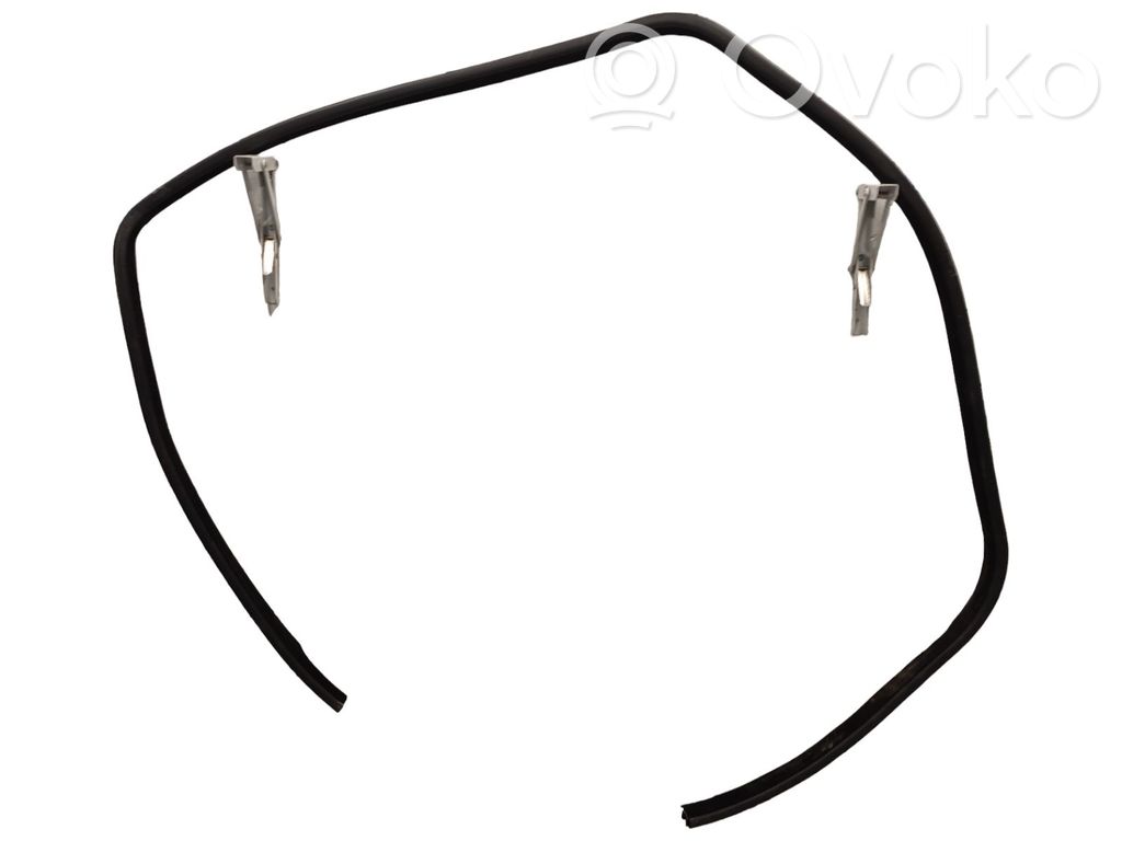 Dodge Charger Rear door rubber seal (on body) 