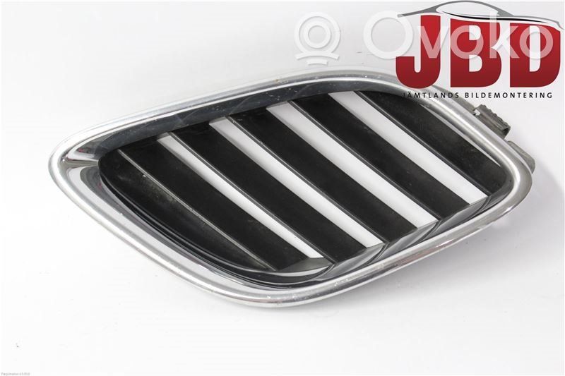 Front bumper lower grill   5337670,5337670
