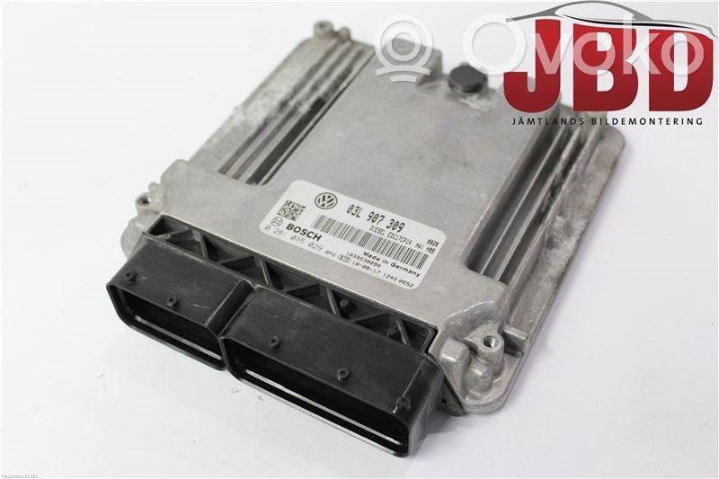 Volkswagen PASSAT B6 Injection control unit/module 