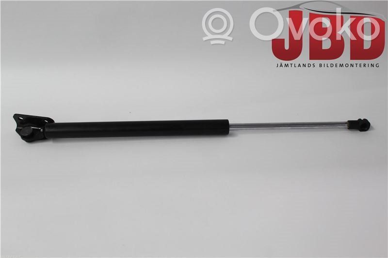 Tailgate strut   5802A666