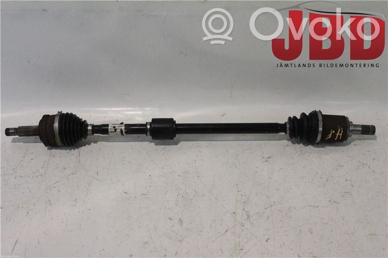 Priekšējā pusass   495001H010
