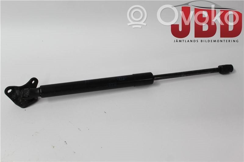 Tailgate strut   817801H521