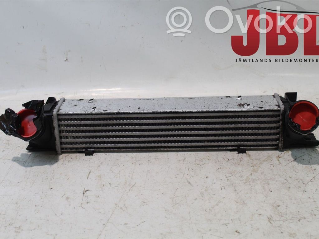 Intercooler radiator   17517524916