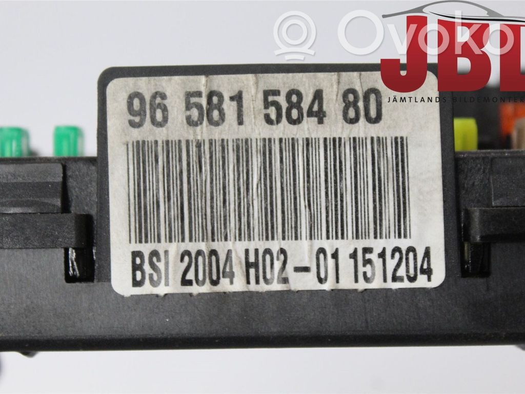 Citroen C4 I Fuse module 