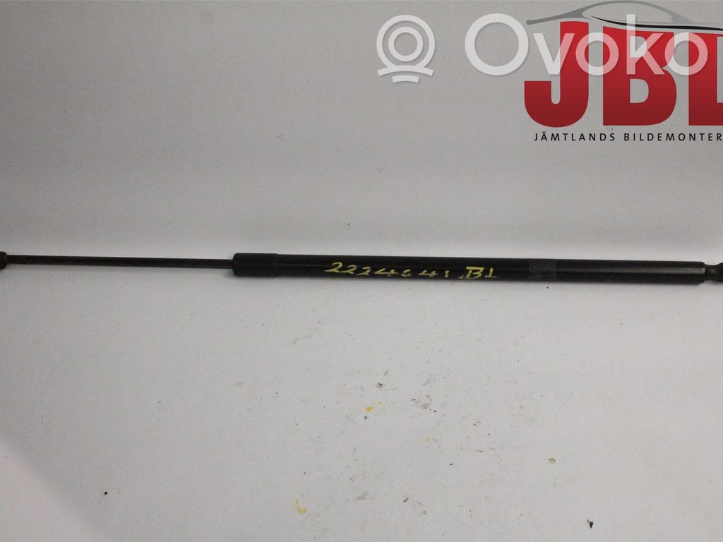 Ford Kuga II Tailgate strut 