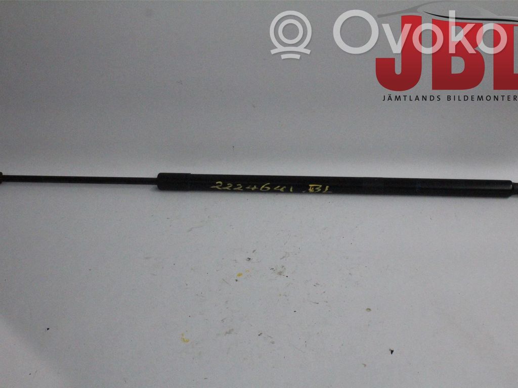 Ford Kuga II Tailgate strut 